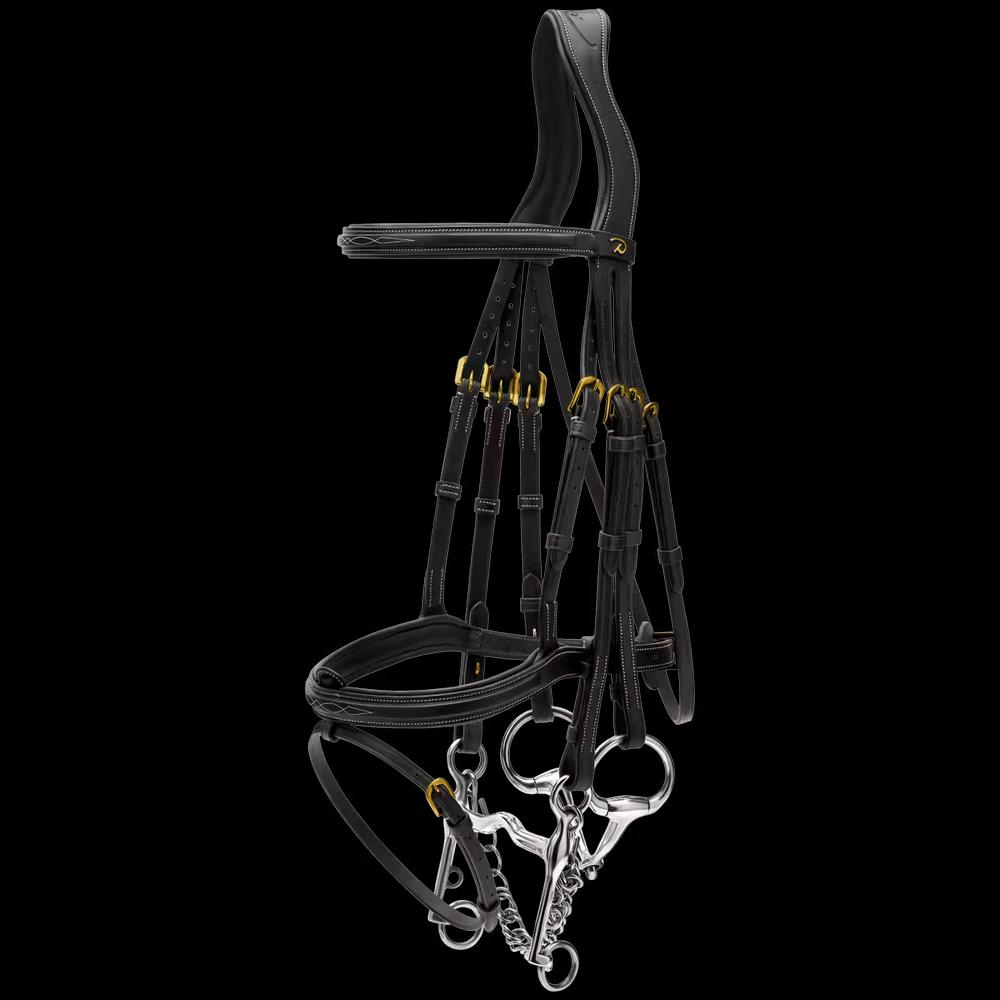 Flash Noseband Double Bridle DY, black